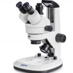 Stereo-Zoom Mikroskop Trinokular (mit Griff) Greenough |  0