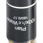 Objektiv 100x Plan Achromatisch für Wasserimmersion