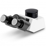 KERN Tubus-Trinokular OBB-A1580