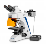 KERN Fluoreszenzmikroskop OBN 142, Trinokular, 4 x / 10 x / 20 x / 40 x / 100 x, 3W LED (Auflicht Durchlicht)
